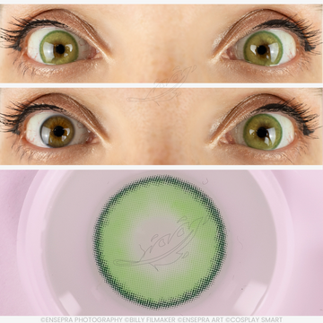 Lentilles Verte Vintage