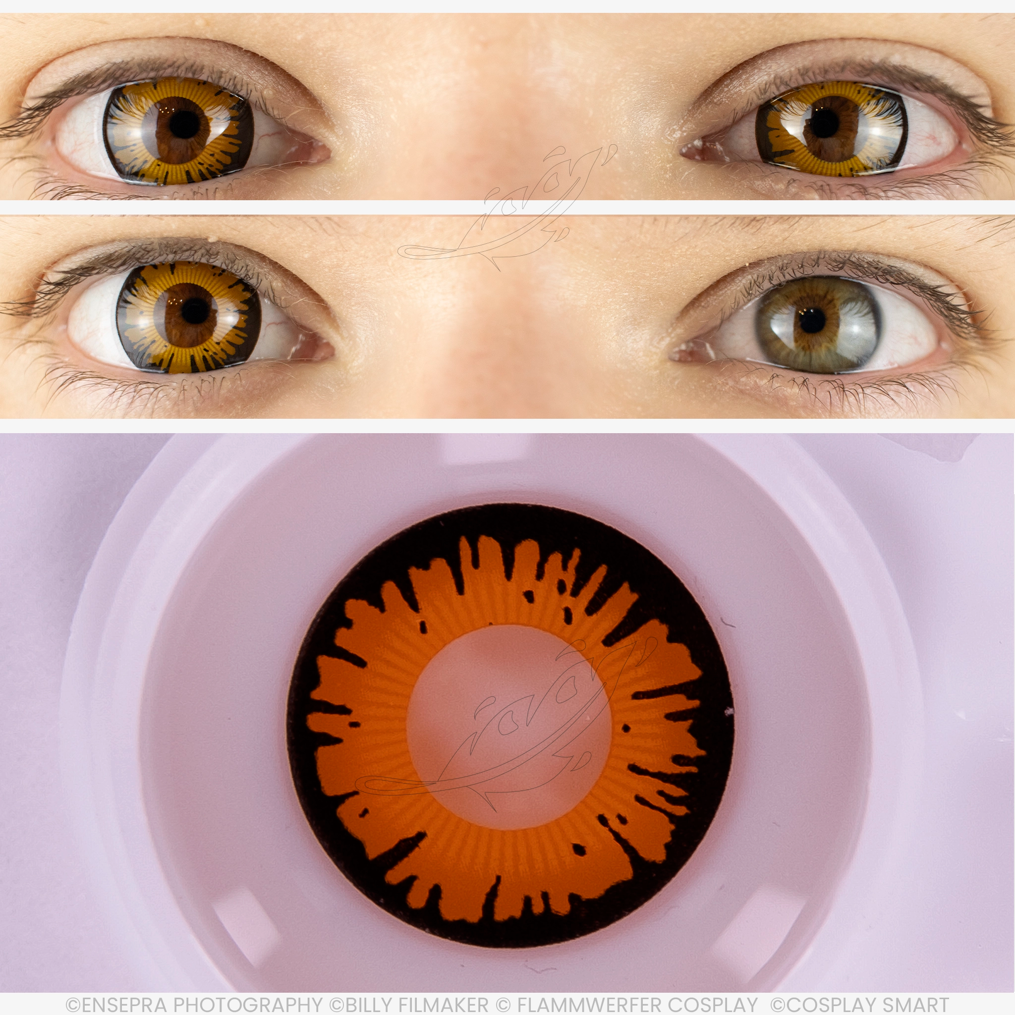 Lentilles colorées