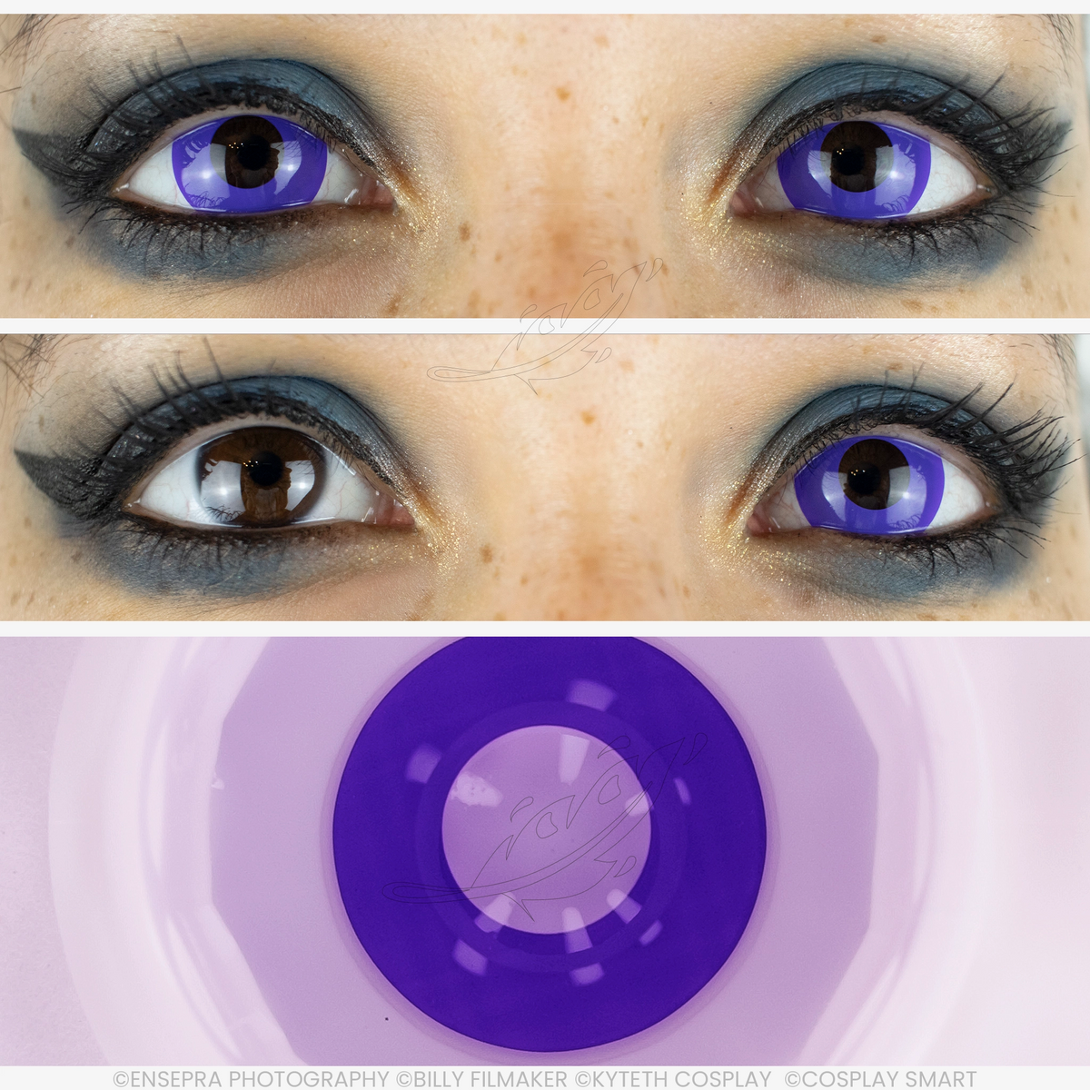 Violet F Lentille Iris Violet foncé