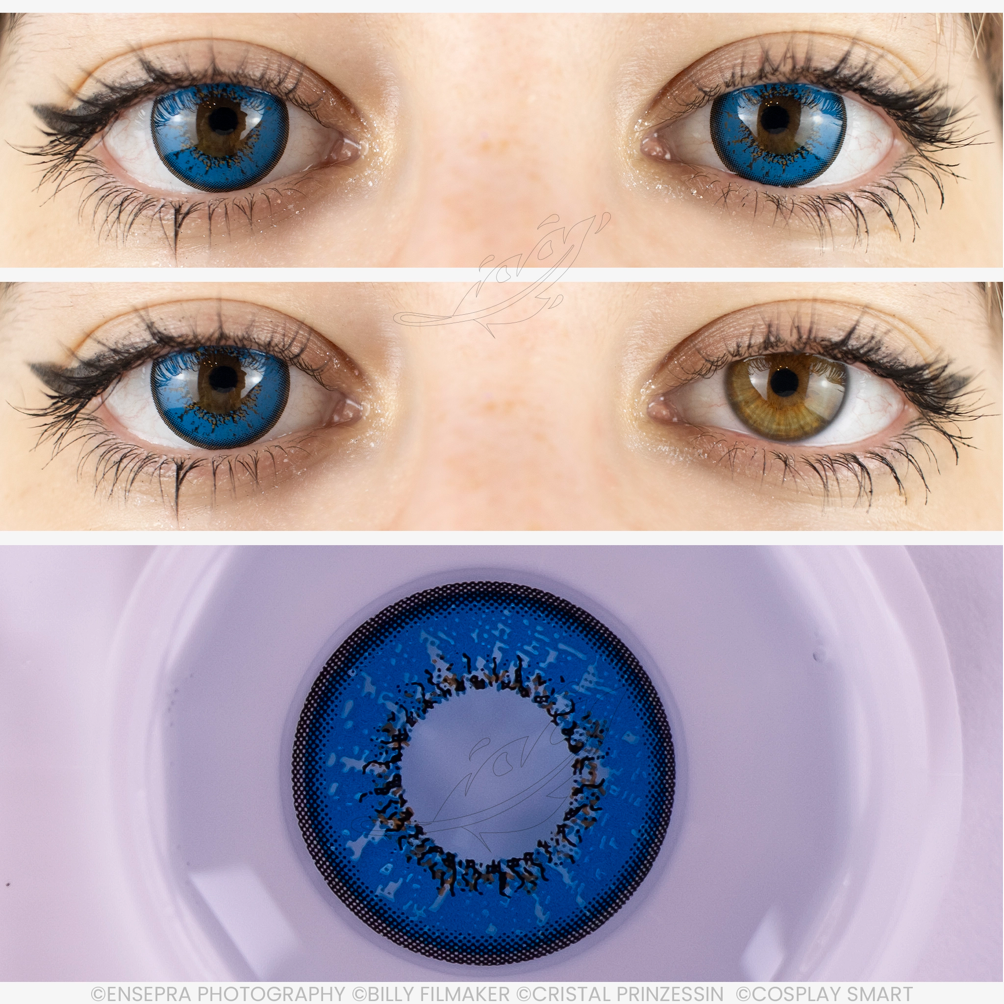 Lentille Bleu lys, image size:2048x2048