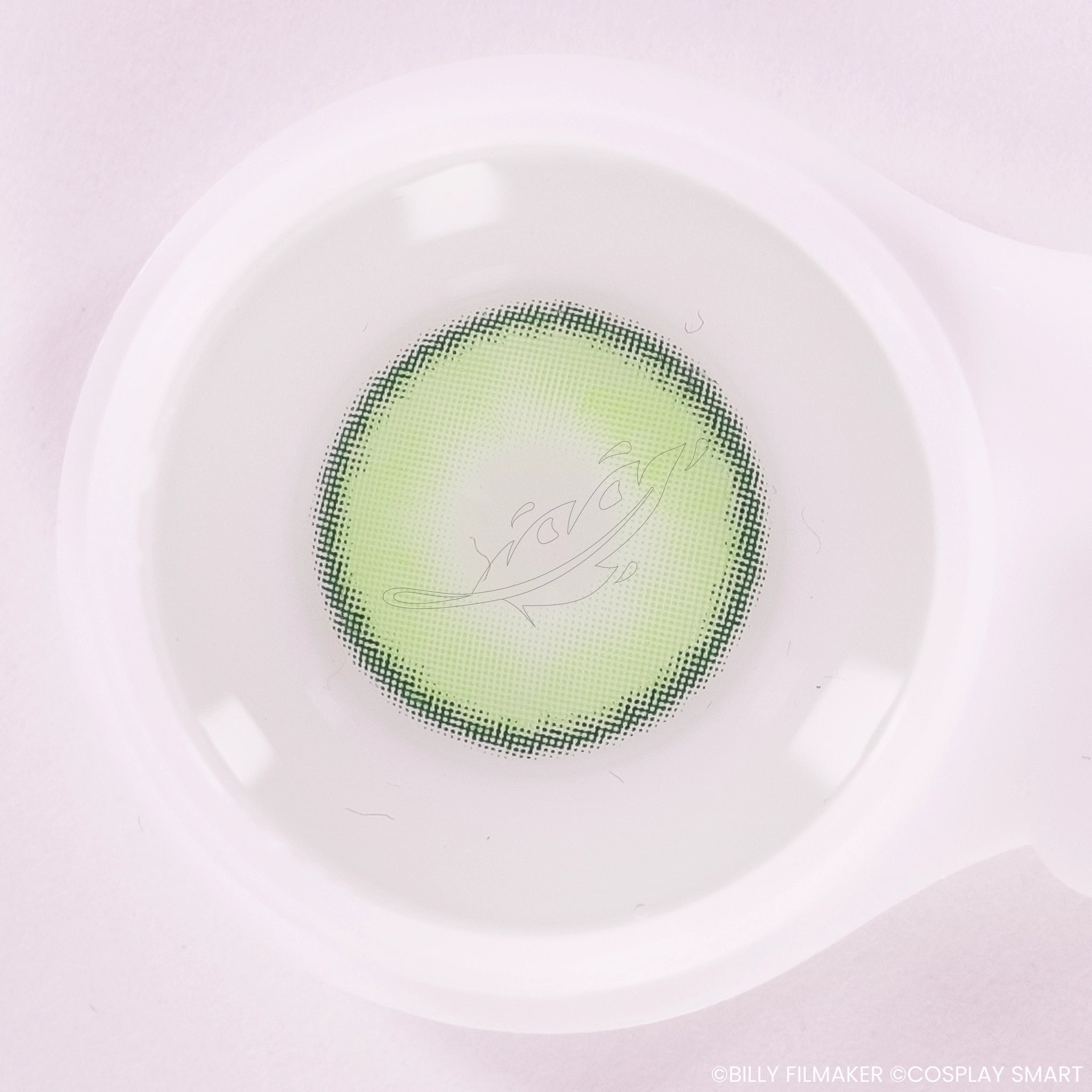 Lentilles Verte Vintage